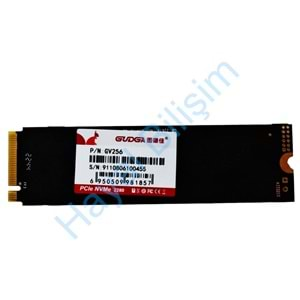 HYL - Gudga 256 Gb M2 Sata Nvme 2280/2242 Notebook Ssd State Drive