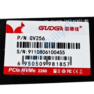 HYL - Gudga 256 Gb M2 Sata Nvme 2280/2242 Notebook Ssd State Drive