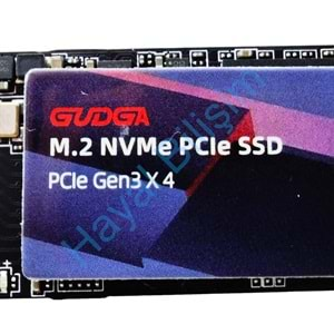 HYL - Gudga 256 Gb M2 Sata Nvme 2280/2242 Notebook Ssd State Drive