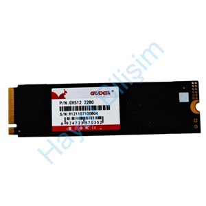 HYL - Gudga 512 Gb 2280/2242 M2 Sata NvMe Notebook SDD Hard Drive