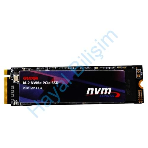 HYL - Gudga 256 Gb M2 Sata Nvme 2280/2242 Notebook Ssd State Drive